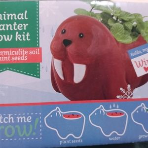 Animal Planter Grow Kit